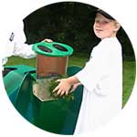 child feeding composter kitchen waste