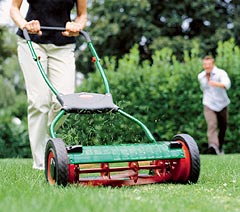 Brill reel mower hotsell