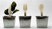 Vegware pots